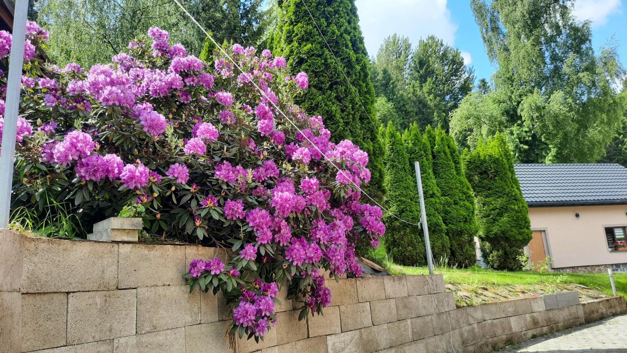 Pokoje U Juroszka Istebna Exterior foto
